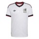 2026 Mexico Away Jersey Player Version Cheap Replica World Cup Soccer Shirt